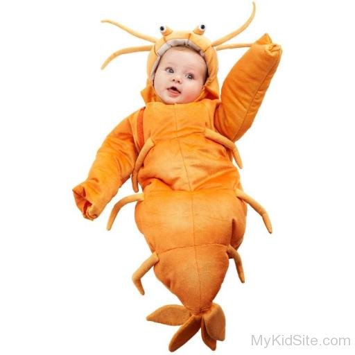 Shrimp Bunting Infant Image