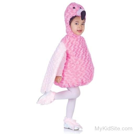 Baby Wearing Turkey Toddler Costume Image