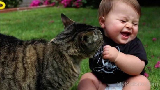 Baby Playing With Cat