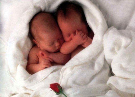 Twins Babies Sleeping