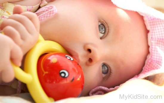 Baby Boy Holding Toy