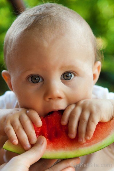 Baby Boy Holding Watermelon -kd04