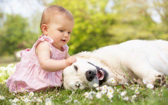 Cute Baby Girl Playing With Dog