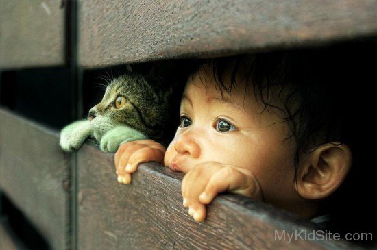 Sweet Baby Boy With Cat