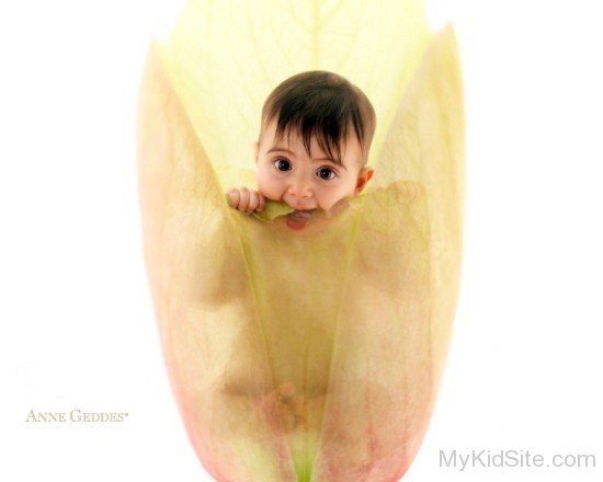 Anne Geddes Cute Baby-sw11