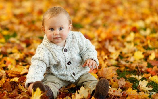 Baby Boy Autumn Leaves