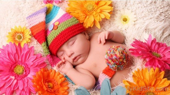 Baby Sleeping Gerbera Flowers-cu89