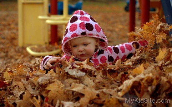 Baby White In Autumn Leaves