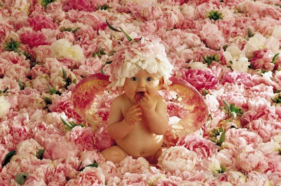 Baby in Flowers