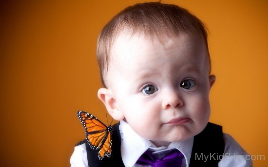 Portrait Boy On Butterfly