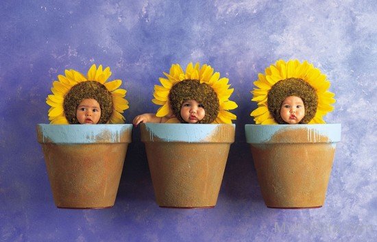 Sun Flower Babies-cu327